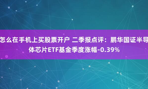怎么在手机上买股票开户 二季报点评：鹏华国证半导体芯片ETF基金季度涨幅-0.39%